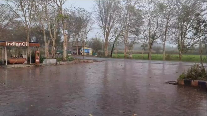 बारीस  फोटो