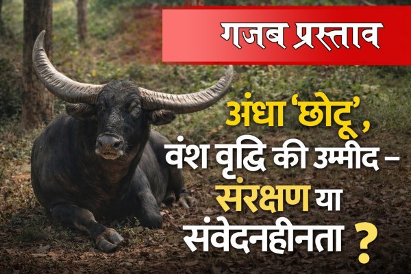 गजब का प्रस्ताव : छोटू देख नहीं सकता और विभाग कह रहा है वंश में वृद्धि करने जंगल जाओ