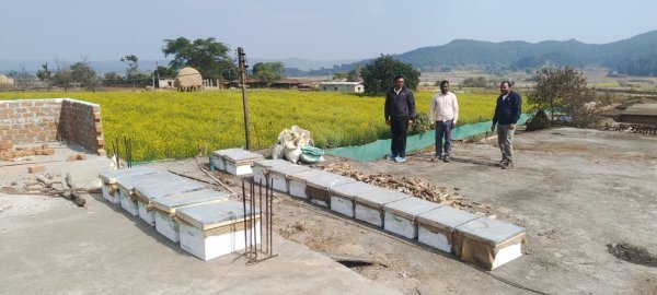 कम लागत, ज्यादा मुनाफा : मधुमक्खी पालन से किसानों की बढ़ रही आमदनी