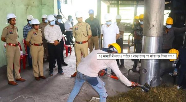 महासमुंद में नशे पर बड़ा प्रहार: 9 क्विंटल 99 किलो गांजा नष्ट, कीमत 5 करोड़ से अधिक