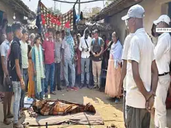 जंगल हादसा: बायसन के हमले में दो महिलाओं की मौत, एक गंभीर रूप से घायल