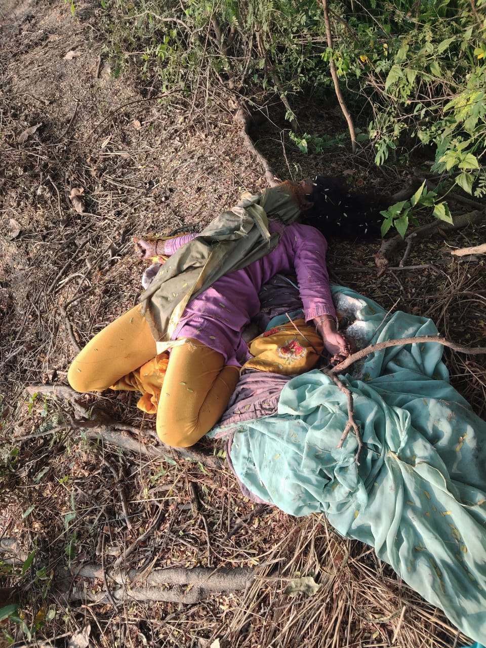 मेड़ पर मिली लाश