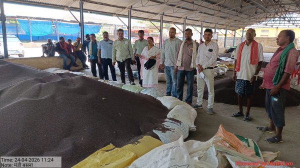 पीएम-आशा योजना के तहत समर्थन मूल्य पर सरसों की जोरदार खरीदी, 404 क्विंटल से अधिक उपार्जन दर्ज