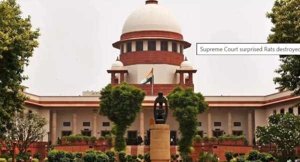घूस के जब्त रुपये ‘चूहे खा गए’ दलील पर सुप्रीम कोर्ट हैरान : पटना हाईकोर्ट के फैसले पर सवाल, महिला कर्मचारी की सजा पर रोक