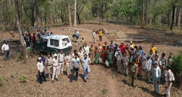 टाइगर रिजर्व में अतिक्रमण की कोशिश नाकाम : 22 गिरफ्तार, वन विभाग की सख्ती जारी