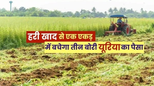 खेती की ओर कदम : मिट्टी की सेहत और किसानों की आय बढ़ाने का प्राकृतिक उपाय