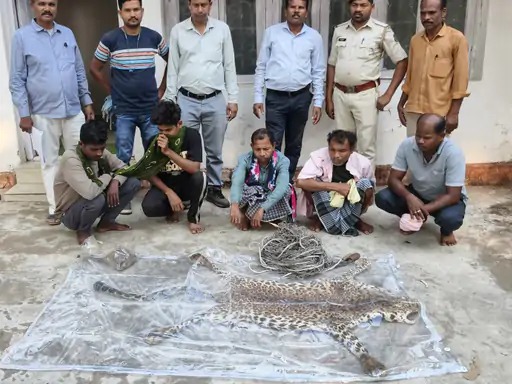 तेंदूए की खाल के साथ आरोपी गिरफ्तार