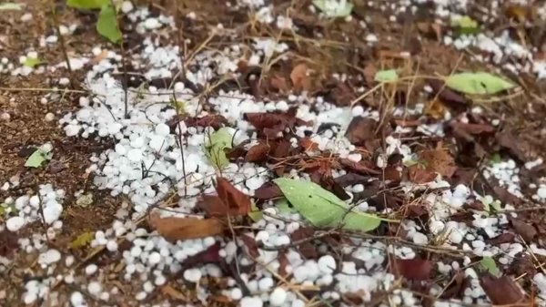 मौसम का यू-टर्न : भीषण लू के बीच बारिश और ओलावृष्टि, मौसम विभाग ने जारी किया 5 दिनों का अलर्ट