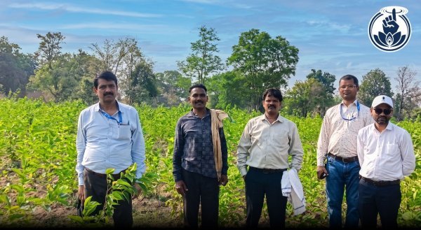 सिल्क समग्र 2 योजना से रेशम उत्पादन को बढ़ावा, 21 किसानों को मिला लाभ