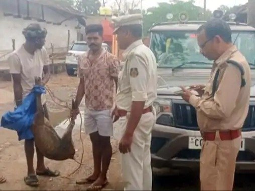 प्यास ने छीनी जिंदगी : पानी की तलाश में बस्ती पहुंचे कोटरी, कुत्तों के हमले से मौत