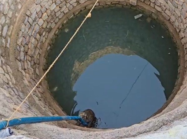 प्यास ने जंगल से छीन लिया रास्ता… कुएं में गिरा तेंदुआ, जिंदगी बचाने की जद्दोजहद जारी