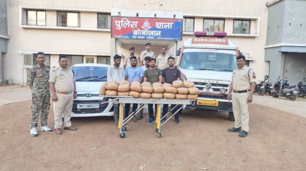 अवैध तस्करी : एंबुलेंस में  गांजा ले जा रहे 5 अंतरराज्यीय तस्कर गिरफ्तार