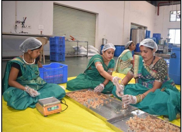ग्रीन गोल्ड : हर्बल समृद्धि से आत्मनिर्भरता की ओर, वन संपदा से समृद्धि की नई कहानी
