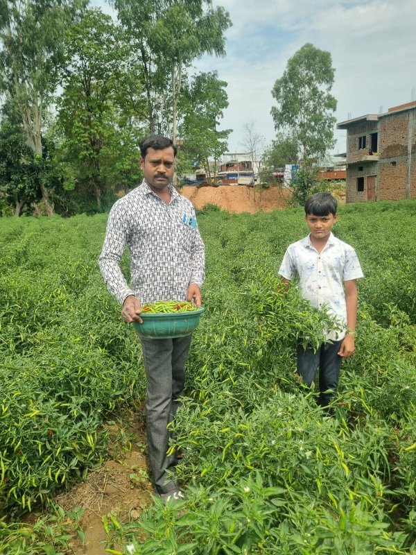 जैविक खेती से बदली किस्मत : डोल नारायण पटेल बने प्रेरणा का स्रोत