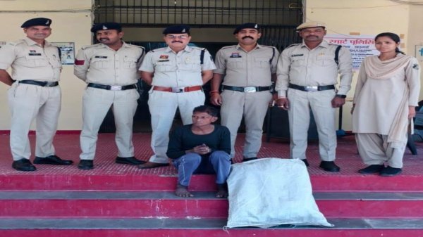 खेतों के बीच छिपी गांजे की खेती का खुलासा, 36 पौधे जब्त, एक आरोपी गिरफ्तार