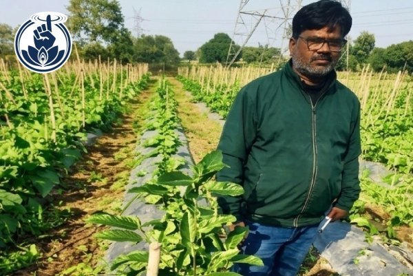 आधुनिक कृषि : तकनीकी खेती से आत्मनिर्भर बने किसान महेश कश्यप