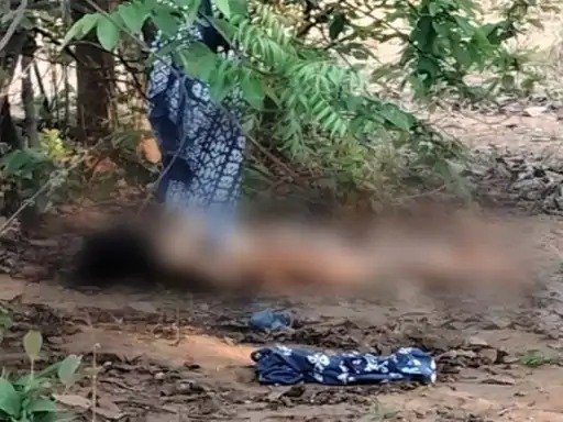 सनसनी : डैम किनारे जंगल में मिली युवती की अर्धनग्न लाश, पहचान छिपाने पत्थर से कुचला चेहरा