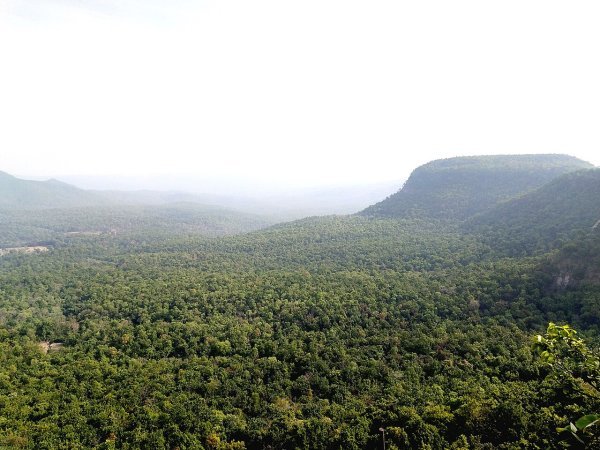 जहां प्रकृति बोल रही : छत्तीसगढ़ के कश्मीर में पर्यटकों को स्पर्श कर रहे बादल, फिज़ां में मधुर संगीत घोल रही हवाएं