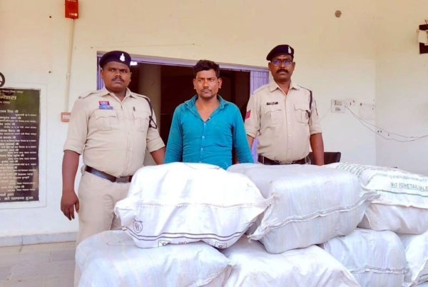 गांजा तस्करी : आम के ट्रे में छिपाकर ले जा रहा था करोड़ों का गांजा, जशपुर पुलिस ने पकड़ी बड़ी खेप