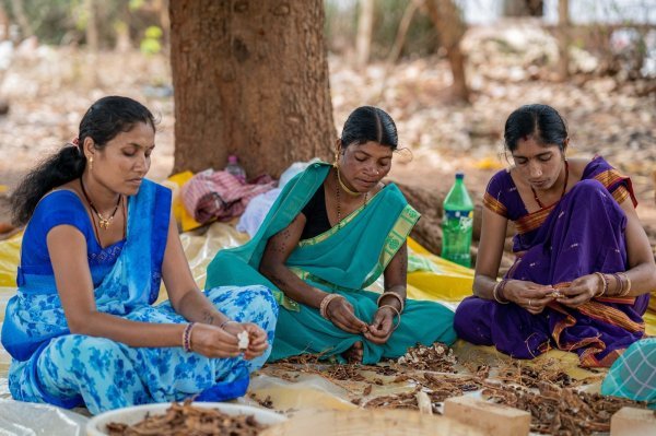 हर्बल उत्पाद : छत्तीसगढ़ की 55 हजार महिलाएं वन धन केंद्रों से जुड़कर बनीं आर्थिक रूप से मजबूत