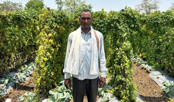किसानों के प्रेरणास्रोत : मेहनत का कमाल, छबी लाल ने लिखी सफलता की नई कहानी