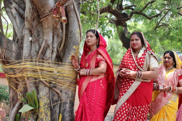 अखंड सौभाग्य की कामना : महासमुंद में श्रद्धा और उत्साह से मनाया गया वट सावित्री व्रत