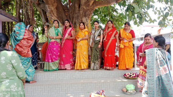 उमड़ी आस्था : वट सावित्री व्रत पर सुहागिन महिलाओं ने वट वृक्ष की पूजा कर मांगी पति की लंबी उम्र