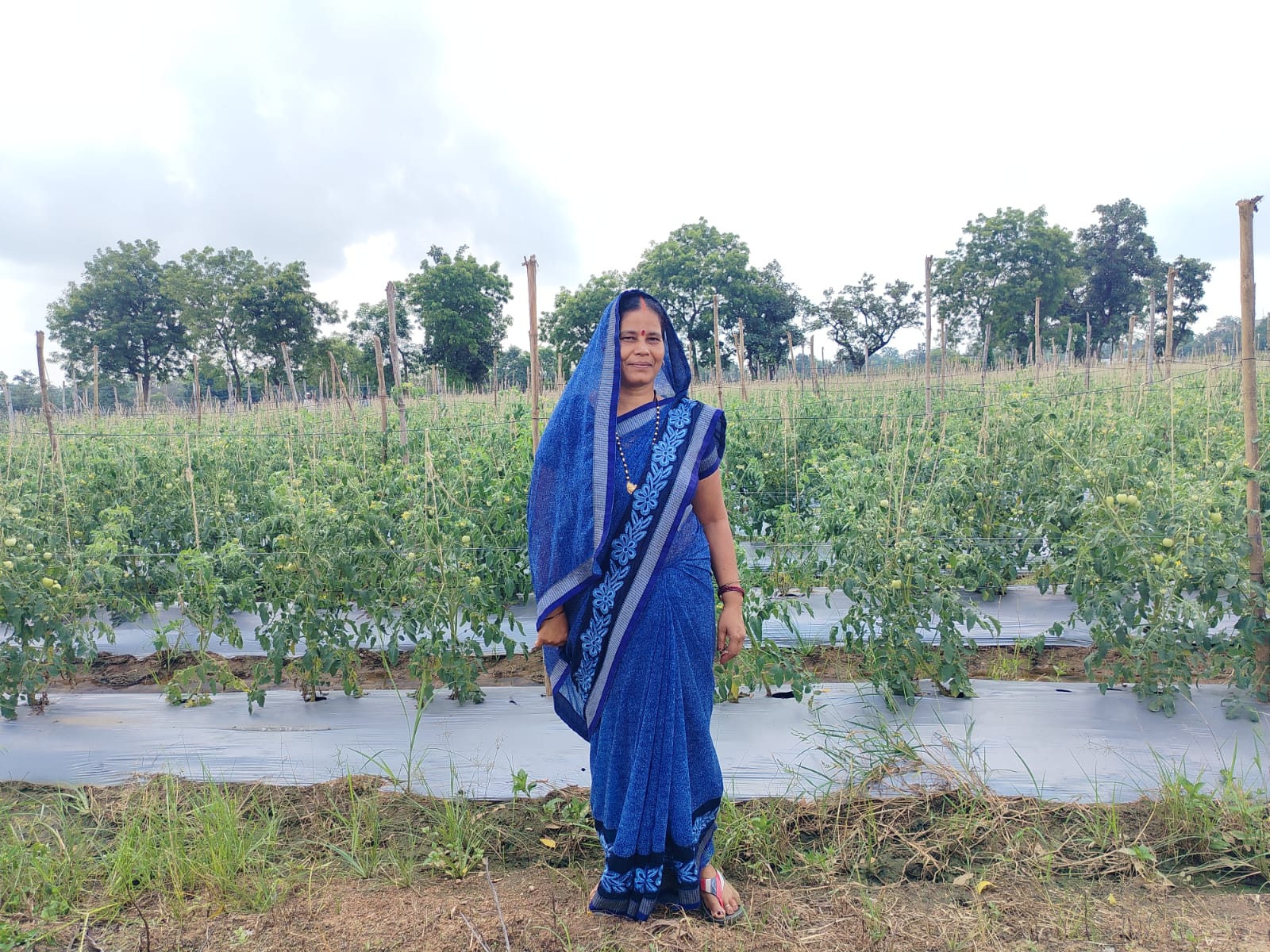 आधुनिक खेती ने बदली मीना पटेल की तकदीर
