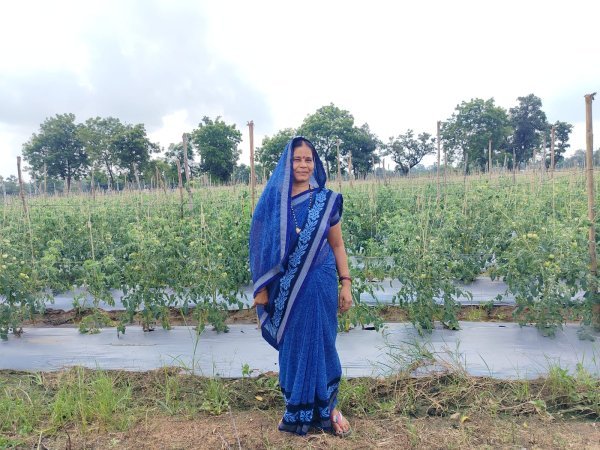किसान की सफलता : आधुनिक तकनीक अपनाकर महिला किसान ने रचा सफलता का नया मॉडल