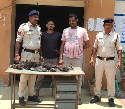 चोरी का खुलासा : महासमुंद पुलिस की बड़ी सफलता, चोरी का कॉपर वायर समेत दो आरोपी गिरफ्तार