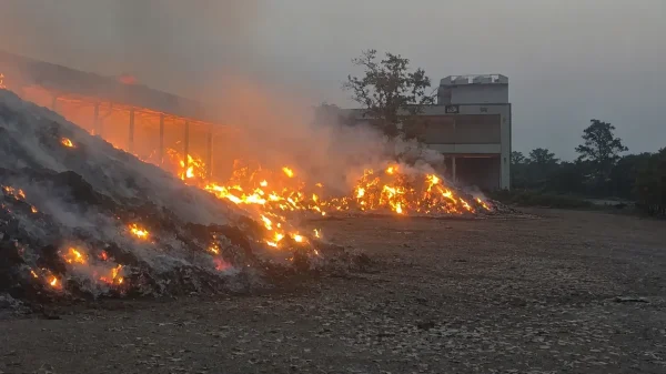 अग्निकांड : बीजापुर में तेंदूपत्ता गोदाम जलकर खाक, प्रशासनिक कार्रवाई में DFO सस्पेंड