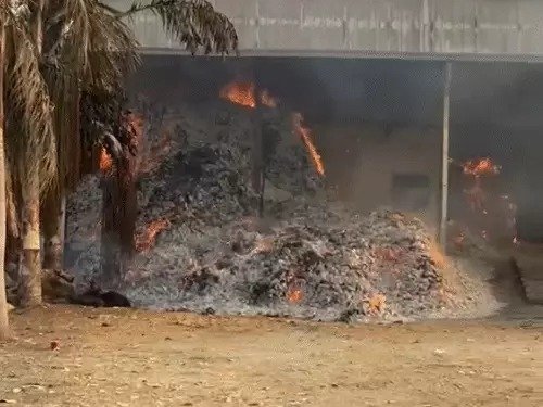 भीषण आग : तेंदूपत्ता भंडारण पर फिर सवाल, बस्तर में सरकारी गोदाम आग से भारी नुकसान