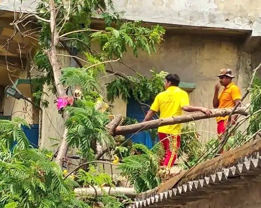 आंधी का कहर : एकता क्लब परिसर में गिरा विशाल पेड़, ODRAF ने हटाया मलबा