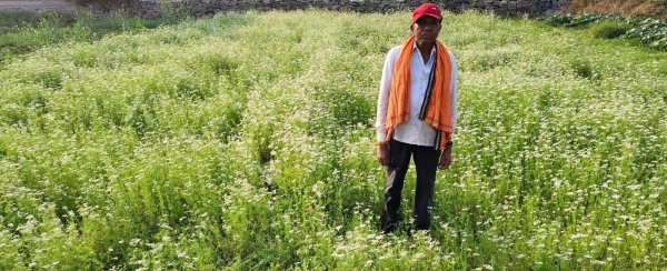 बदली किस्मत : उद्यानिकी खेती अपनाकर किसान ने रचा सफलता का नया इतिहास