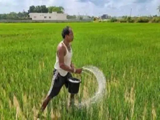 खेती में क्रांति : कम लागत, अधिक उत्पादन और मिट्टी की सेहत सुधार की नई राह नैनो यूरिया