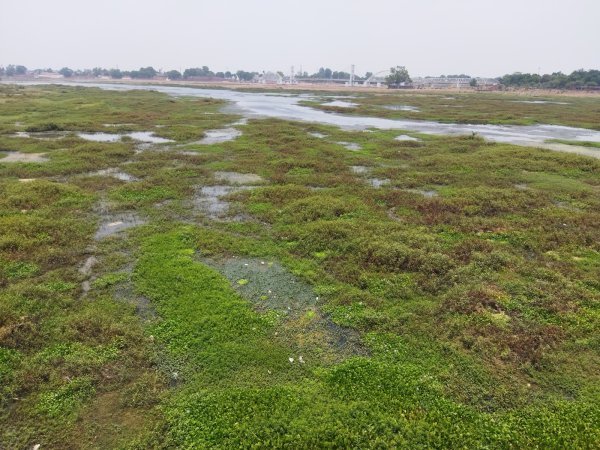 सुशासन तिहार : अतिक्रमण और शराब बिक्री पर कार्रवाई की मांग, सुशासन तिहार में उठे मुद्दे