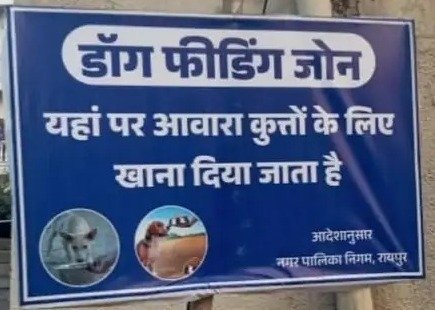 आदेश : 70 वार्डों में बने डॉग फीडिंग जोन, अब तय जगह पर ही मिलेगा भोजन
