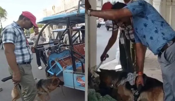 हड़कंप : टावर चौक  उज्जैन  पर बम धमकी से अफरा-तफरी