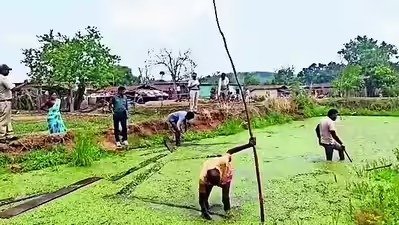 पुष्पा स्टाइल में तस्करी : तालाब के पानी और ज़मीन के नीचे छिपाई थी करोड़ों की अवैध लकड़ी, स्निफर डॉग ने खोला राज