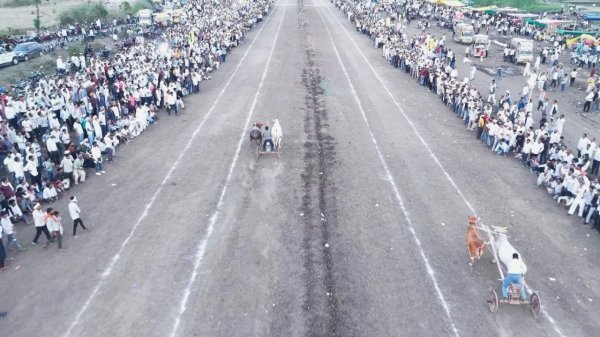 आकर्षण का केंद्र : सतवास में बैलगाड़ी दौड़ का 24 घंटे का रोमांच, 120 जोड़ों ने दिखाया दम