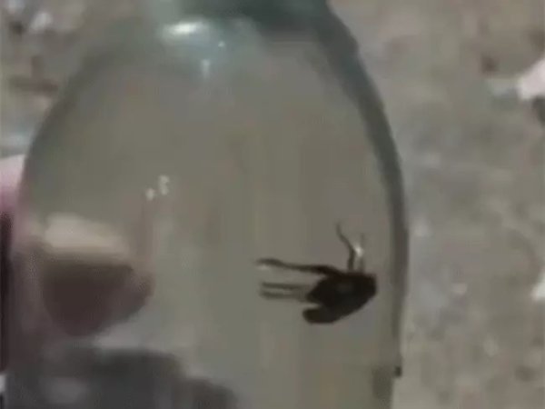 शराब विवाद : 10 दिनों में दूसरा मामला सामने आने से हड़कंप