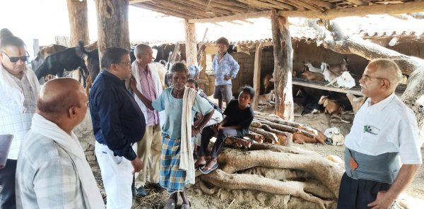 आत्मनिर्भरता की मिसाल : 10 साल का संघर्ष, 185 बकरियों का फार्म मुंगेली के रामलाल की प्रेरक सफलता