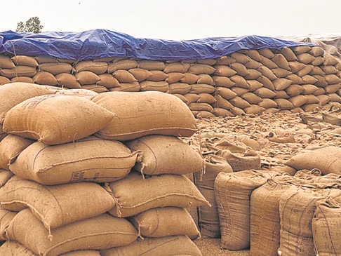 धान केंद्र में स्टॉक जांच और धान के बोरे