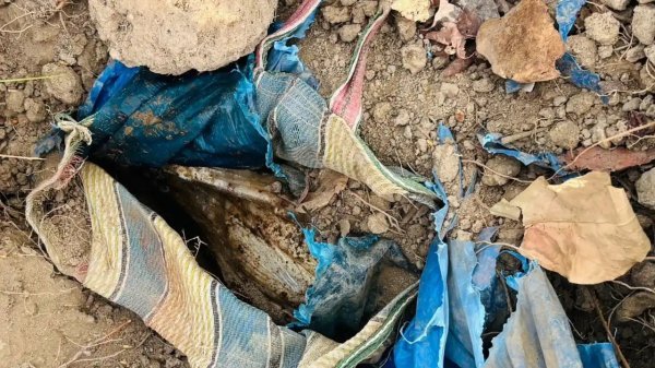 कामयाबी : 5 किलो आईईडी बरामद कर सुरक्षाबलों ने नक्सली साजिश नाकाम की