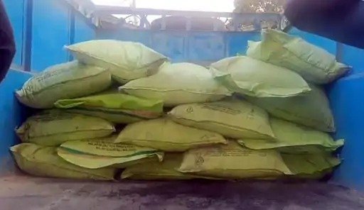 कार्रवाई : रायगढ़ में खाद घोटाले पर शिकंजा, पिकअप से 52 बोरी DAP जब्त, जांच शुरू