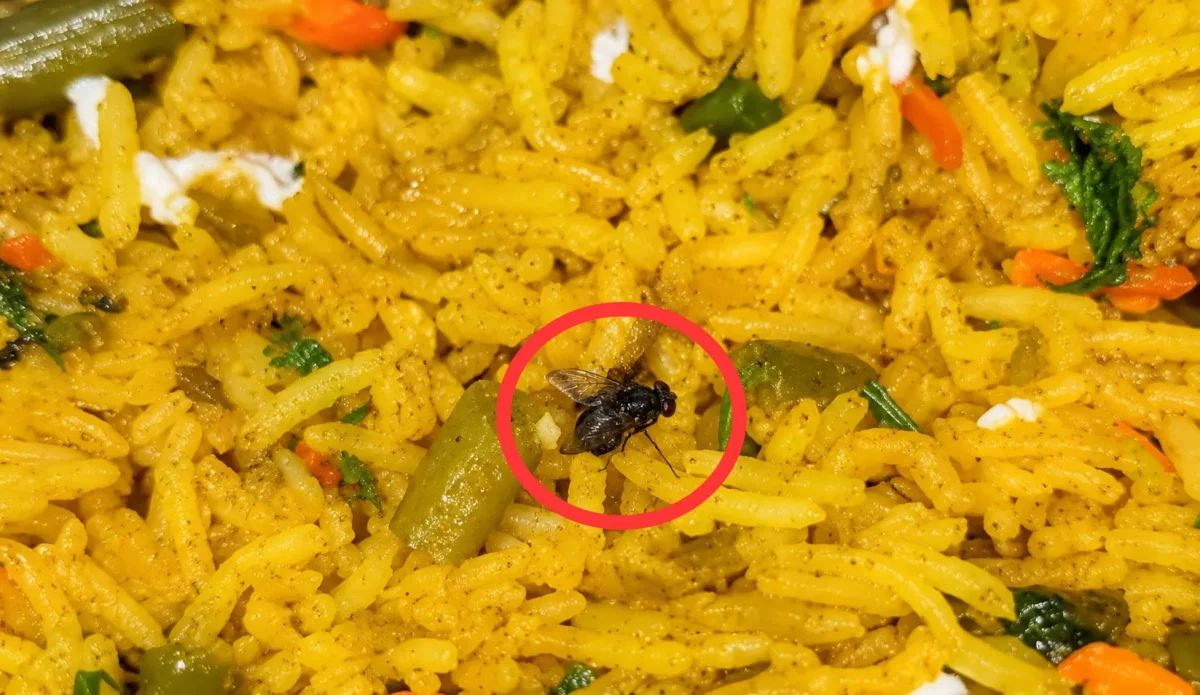 वेज बिरयानी में कीड़ा मिलने से मचा हड़कंप