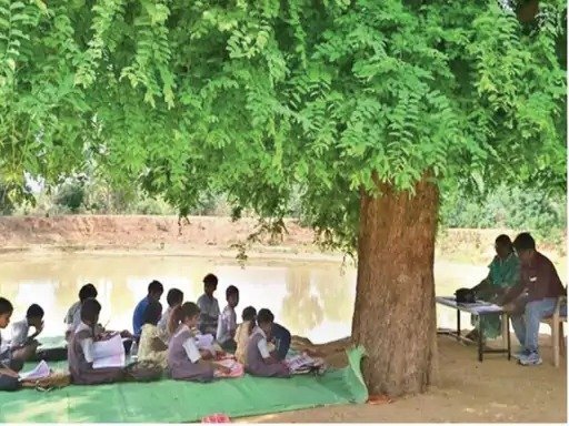 पेड़ के नीचे शिक्षा व्यवस्था : लावा गांव में पहली बार स्कूल शुरू, भवन नहीं फिर भी उत्साह बरकरार