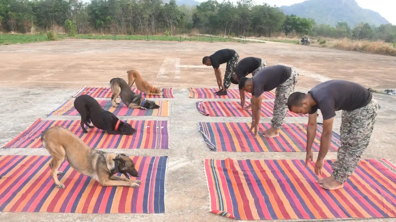 कांकेर CTJW कॉलेज में योग करते जवान और डॉग स्क्वॉड