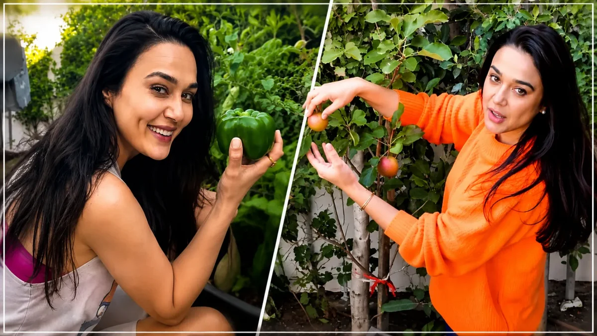प्रीति जिंटा अपने किचन गार्डन में ऑर्गेनिक सब्जियों के साथ