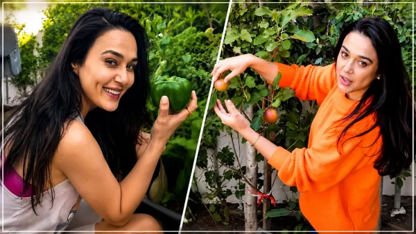 सुकून : मिट्टी से जुड़कर मिली नई राह, प्रीति जिंटा खुद उगा रही हैं फल और सब्जियां